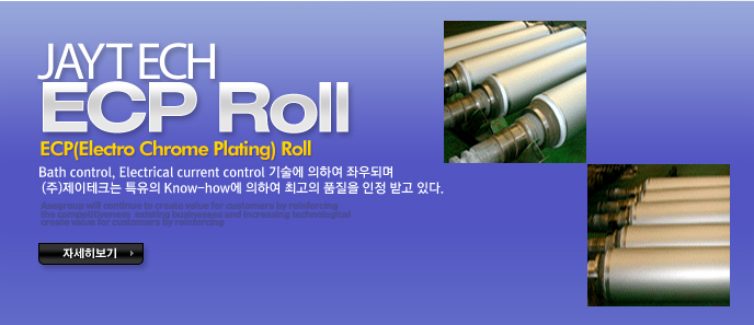 ECP(Electro Chrome Plating) Roll
